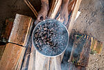 Bildergalerie Amazonien