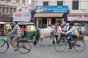 Straßenszene in Firozabad, Indien