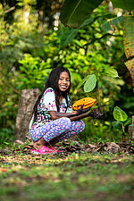 Bildergalerie Amazonien