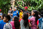 Bildergalerie Amazonien