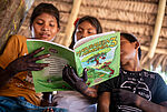 Bildergalerie Amazonien