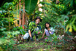 Bildergalerie Amazonien