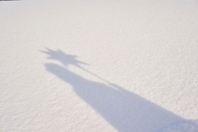 Der Schatten eines Sternsingers im Schnee. Der Schatten ist scharf und so sieht man, dass der Sternsinger einen Umhang und eine Krone an hat. Gleichzeitig trägt er noch den Stern der Sternsinger an einem Stock mit sich.