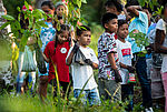 Bildergalerie Amazonien