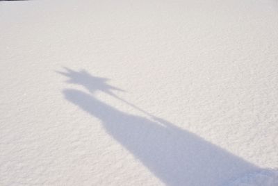 Der Schattenwurf eines Sternsingers auf dem Schnee. Der Sternsinger wirft einen langen Schatten und hält einen gezackten Stern.