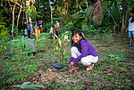 Bildergalerie Amazonien